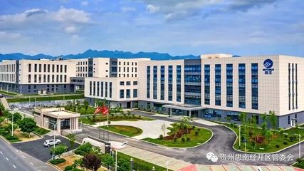 吳廷彪率隊赴重慶開展招商考察，聚焦中藥飲片產業發展